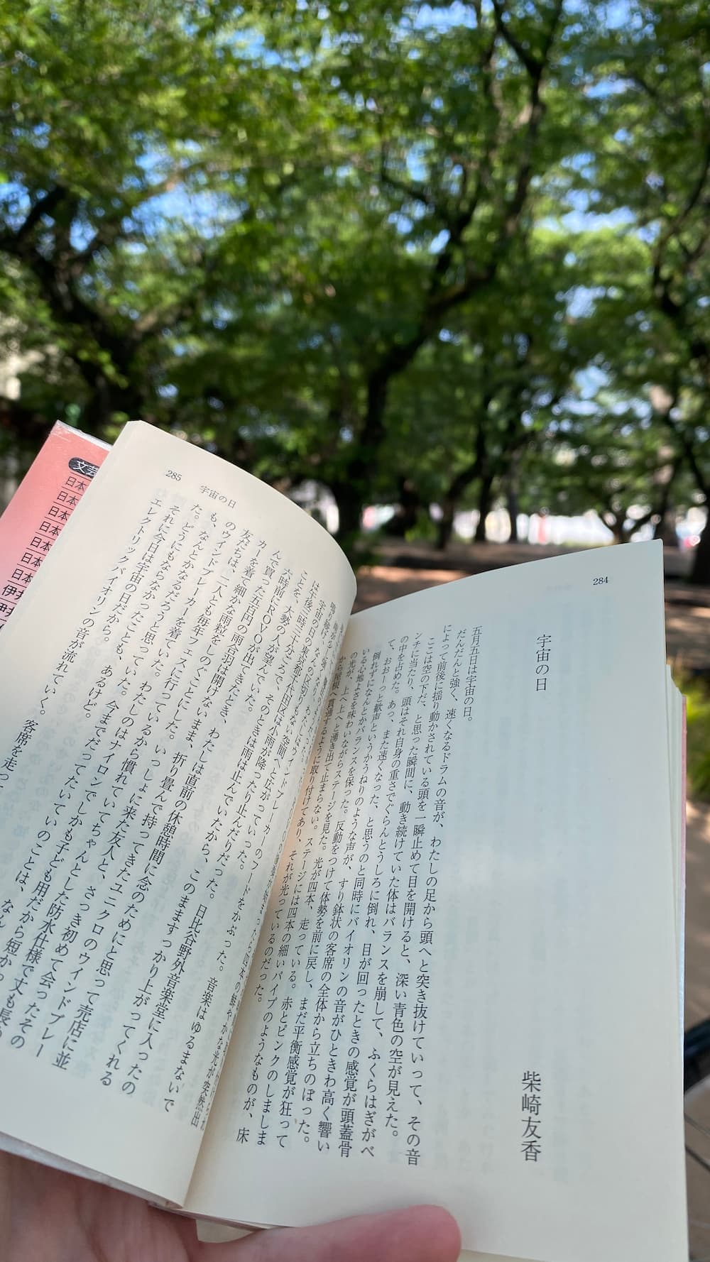 my-escape-reading-unnecessary-books.jpg